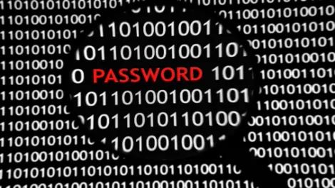 Wheedle makes password promise after privacy breach