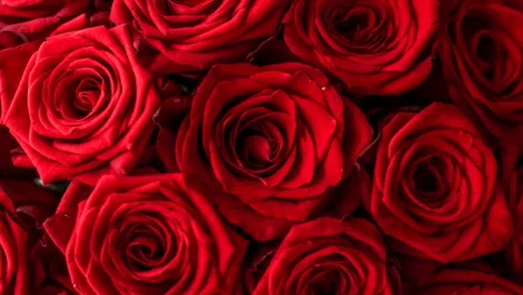 The future for Apple