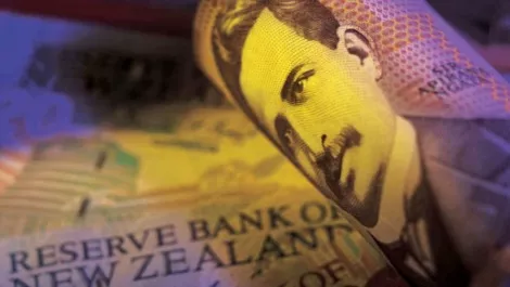 NZ dollar little changed vs. USD on Fed divided opinion