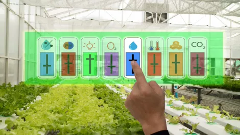 Tech aims to aid high school agriculture teachers