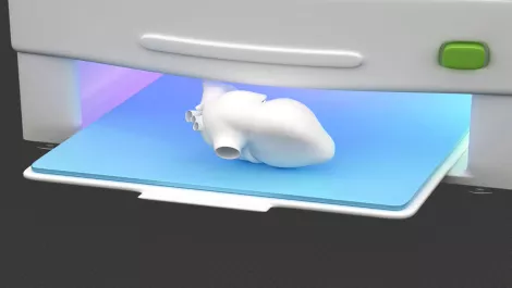 3D Printing revolutionises health education in South Island