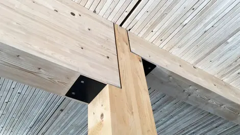 World’s tallest wooden office building for Wellington?