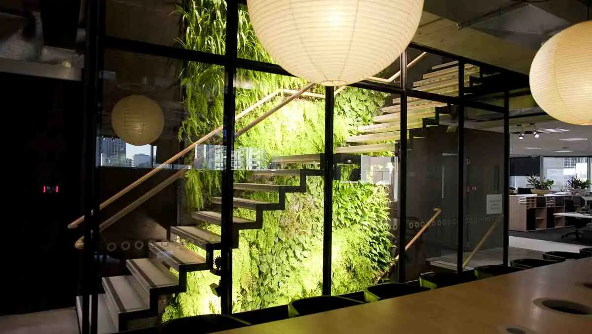Benefits of greenwalls at home and in the workplace