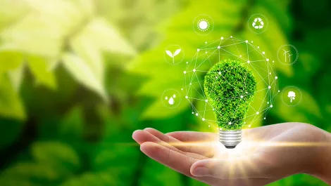 University of Auckland takes top spot in sustainability rankings