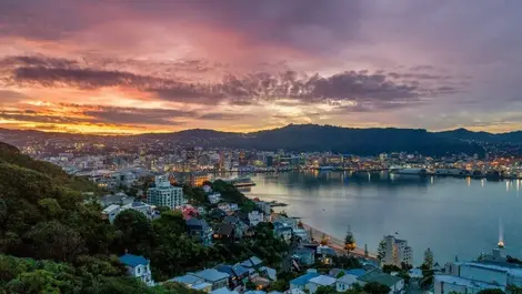 Wellington at ‘epicentre’ of property downturn