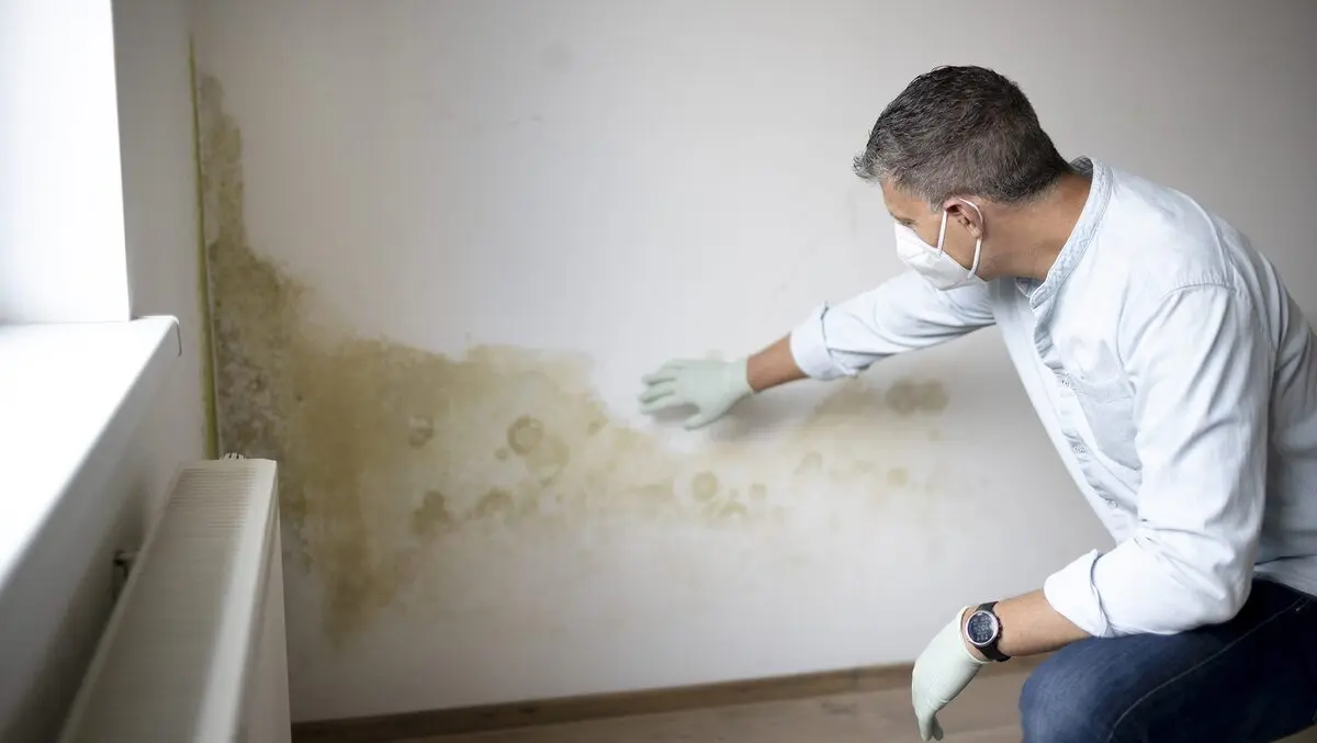 Handling mould risks at your property after a flood