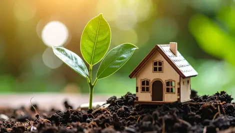 ‘Green shoots’ emerge in declining property market