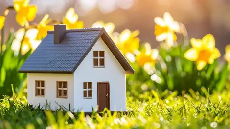 Property sales up pre-election