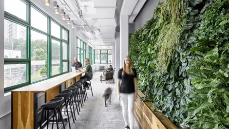 New Zealand’s imbalance of office space